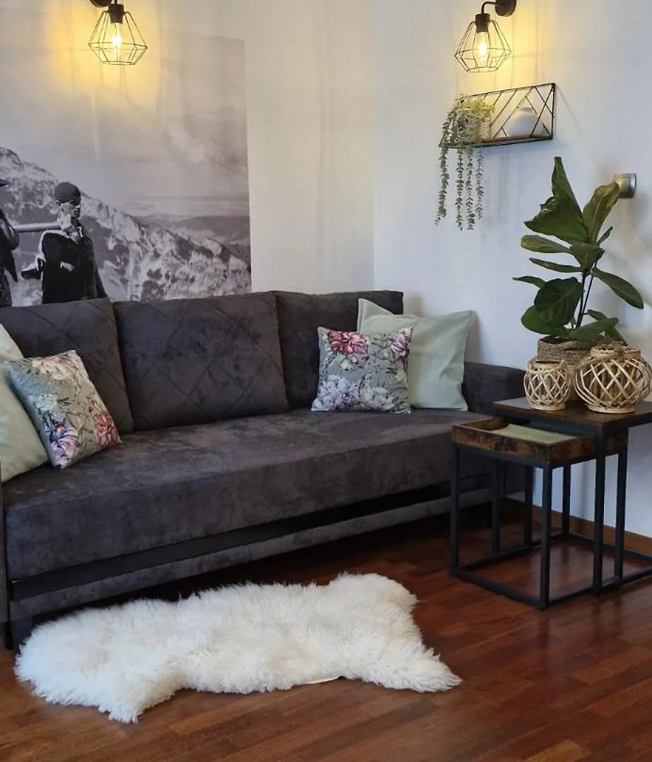 Apartament11 Brzozowa 5Minut Krupowki, Garaz ザコパネ ポーランド